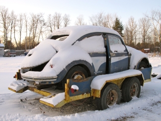 vermont-bug2