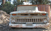 Forgotten Chevy Truck